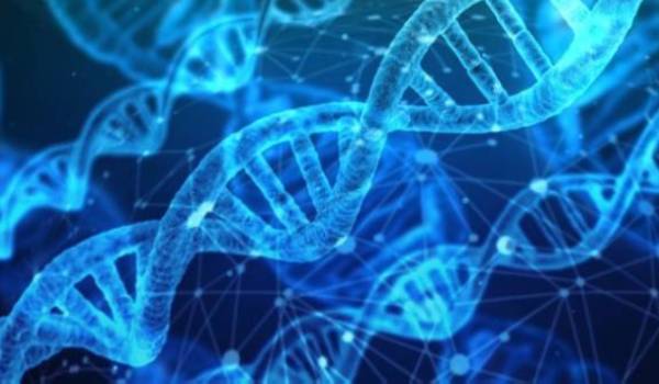 Genetics