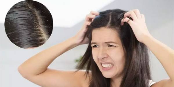 Top Reasons Why You Should Protect Your Hair